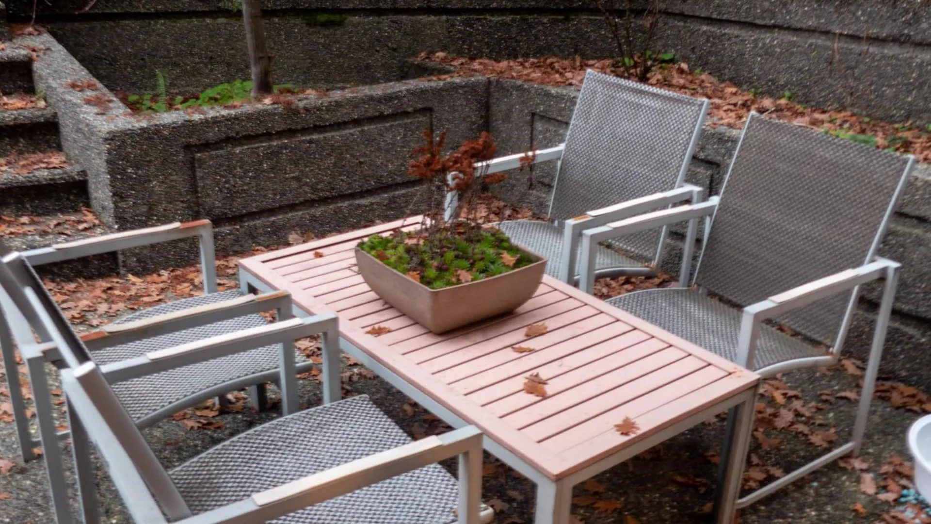 בית אירוח וונקובר Van Nest Near Yvr Ubc Downtown